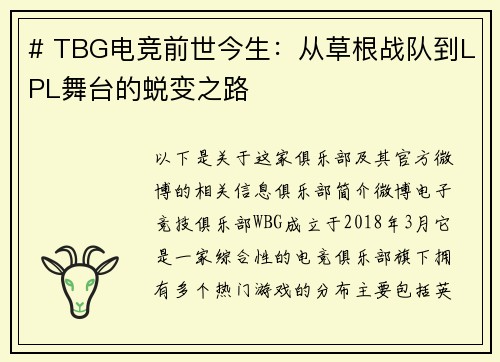 # TBG电竞前世今生：从草根战队到LPL舞台的蜕变之路