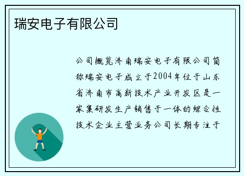 瑞安电子有限公司